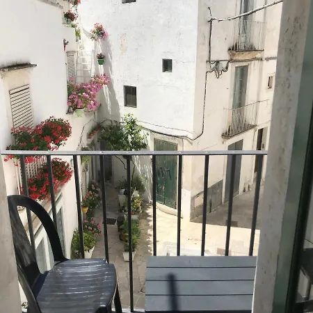 Maison Rococo *